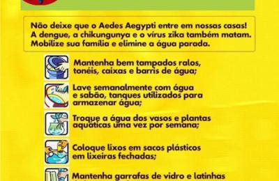 Combate a Dengue Zika e Chikungunya