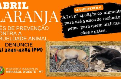 M&Ecirc;S DE PREVEN&Ccedil;&Atilde;O CONTRA A CRUELDADE ANIMAL!
