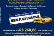 MINHA PLACA E MIRASSOL