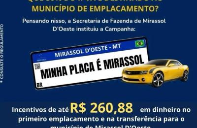 MINHA PLACA E MIRASSOL